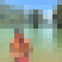 ���������� ������-��-����, ���� ������� �������, 29 ���, ������������ ��� ������, ����� � ���������