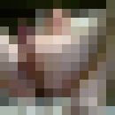 ���������� �����-���������, ���� ������� ������, 36 ���, ������������ ��� ������, ����� � ���������, c�������� ���������, ���������