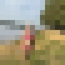  ,   , 54 ,   ,   , c , 
