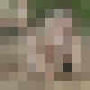  ,   , 49 ,   ,   , c 
