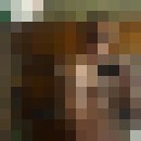 ���������� ���, ���� ������� ������, 46 ���, ������������ ��� ����� � ���������, c�������� ���������