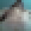 ���������� ������, ���� ������� �����, 43 ����, ������������ ��� ������, ����� � ���������, c�������� ���������