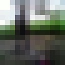  -,   , 34 ,   ,   , c 