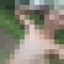 ,   , 22 ,   c 