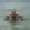 ���������� �����-���������, ���� ������� ������, 32 ����, ������������ ��� ������, ����� � ���������, c�������� ���������