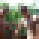 ���������� ���, ���� ������� Marat, 39 ���, ������������ ��� ������, ����� � ���������