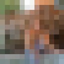 ���������� ��������, ���� ������� �������, 38 ���, ������������ ��� ������, ����� � ���������