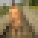  -,   , 43 ,   ,   , c 