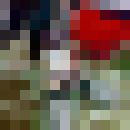 ���������� ���������, ���� ������� ��������, 43 ����, ������������ 