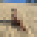 ���������� ������, ���� ������� ��������, 28 ���, ������������ ��� ������, ����� � ���������, c�������� ���������