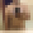  -,   , 33 ,  