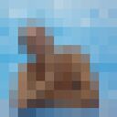  --,   , 33 ,   ,   , c , 