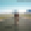   ,   , 55 ,     , c 