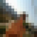 ���������� ������, ���� ������� ������, 41 ���, ������������ ��� ������, ����� � ���������