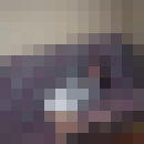  ,   , 44 ,   