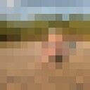 ���������� ���������, ���� ������� �����, 64 ����, ������������ ��� ������, ����� � ���������