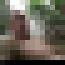  ,   , 41 ,   c 