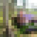  ,   , 68 ,     , c 