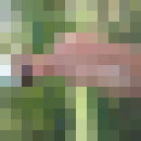  ,   , 34 ,   