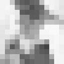 ���������� �������, ���� ������� �������, 38 ���, ������������ ��� ������, ����� � ���������