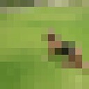 ���������� ������, ���� ������� ����, 43 ����, ������������ ��� ������, ����� � ���������, ���������