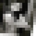  -,   , 29 ,   ,   , c 