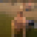  ,   Ali, 36 ,   ,   , c 