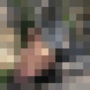  --,   , 37 ,   ,   