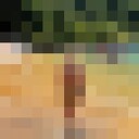 ���������� ������, ���� ������� ������, 37 ���, ������������ ��� ������, ����� � ���������, c�������� ���������, ���������