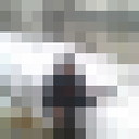  ,   , 51 ,     , c 