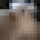  ,   , 43 ,   , 
