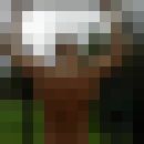  ,   Kirill1, 33 ,   