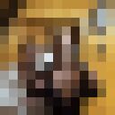  ,   , 18 ,   ,   