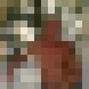 ���������� �������, ���� ������� ����, 51 ���, ������������ ��� ������, ����� � ���������, ���������