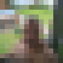 ���������� ������, ���� ������� �����, 45 ���, ������������ ��� ������, ����� � ���������