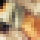  ,   , 31 ,   , 
