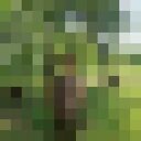  ,   , 22 ,   ,   , c , 