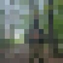 ���������� ������, ���� ������� ��������, 26 ���, ������������ ��� ������, ����� � ���������