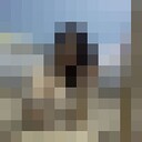  ,   , 36 ,   ,   , 