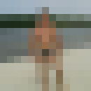  ,    , 47 ,  