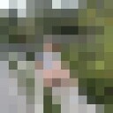 ���������� ������, ���� ������� ��������, 29 ���, ������������ ��� ����� � ���������