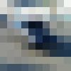  ,   Shami, 37 ,   ,   , c , 