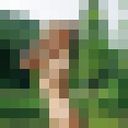 ���������� ������, ���� ������� ��������, 35 ���, ������������ ��� ������, ����� � ���������, c�������� ���������