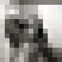  ,   MG, 33 ,   ,   , 