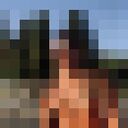 ���������� ������������, ���� ������� ���������, 33 ����, ������������ ��� ������, ����� � ���������