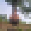 ���������� �����, ���� ������� ������, 42 ����, ������������ ��� ����� � ���������, c�������� ���������