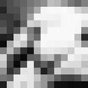 ���������� ������, ���� ����� Janik, 23 ����, ������������ ��� ����� � ���������, ���������