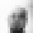 ���������� ���������, ���� ������� �������, 31 ���, ������������ ��� ������, ����� � ���������