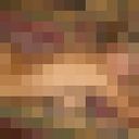  --,   , 40 ,   ,   , c , 