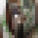 ���������� �������, ���� ������� ����, 37 ���, ������������ ��� ������, ����� � ���������